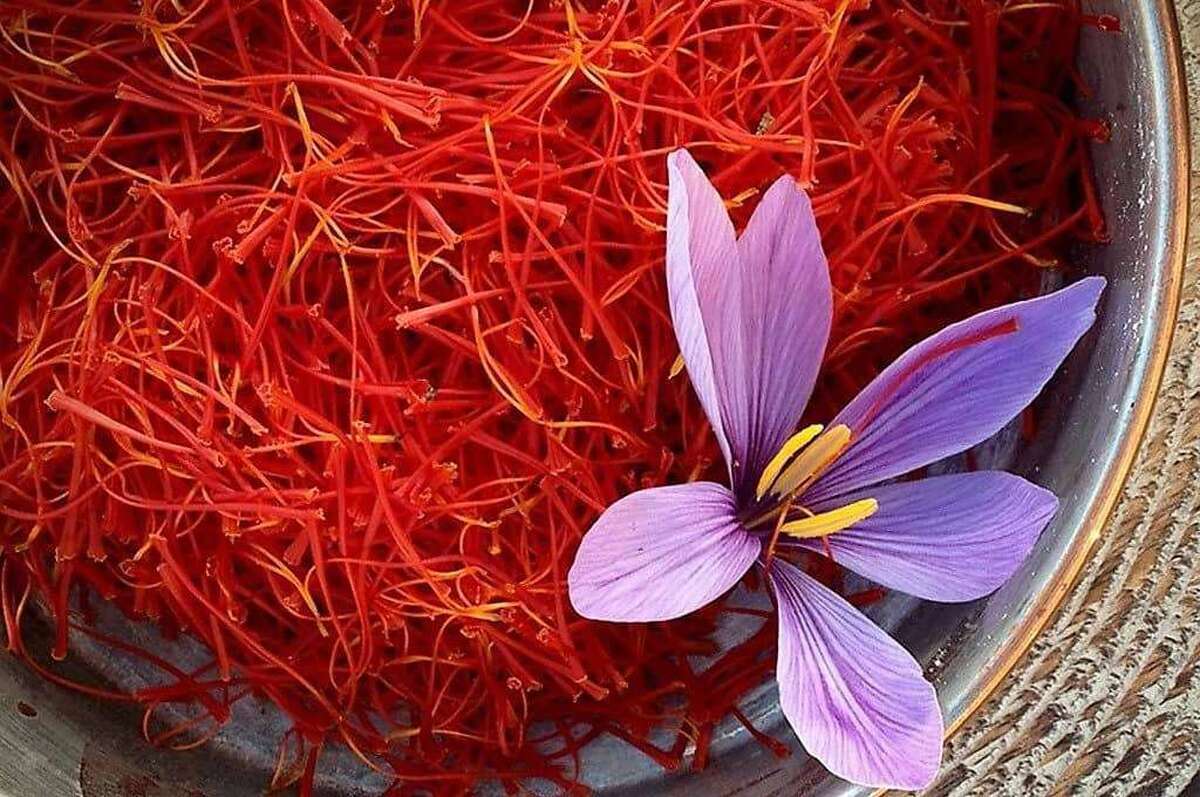 Pushal Saffron