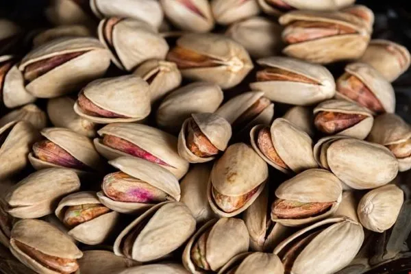 Akbari Pistachio