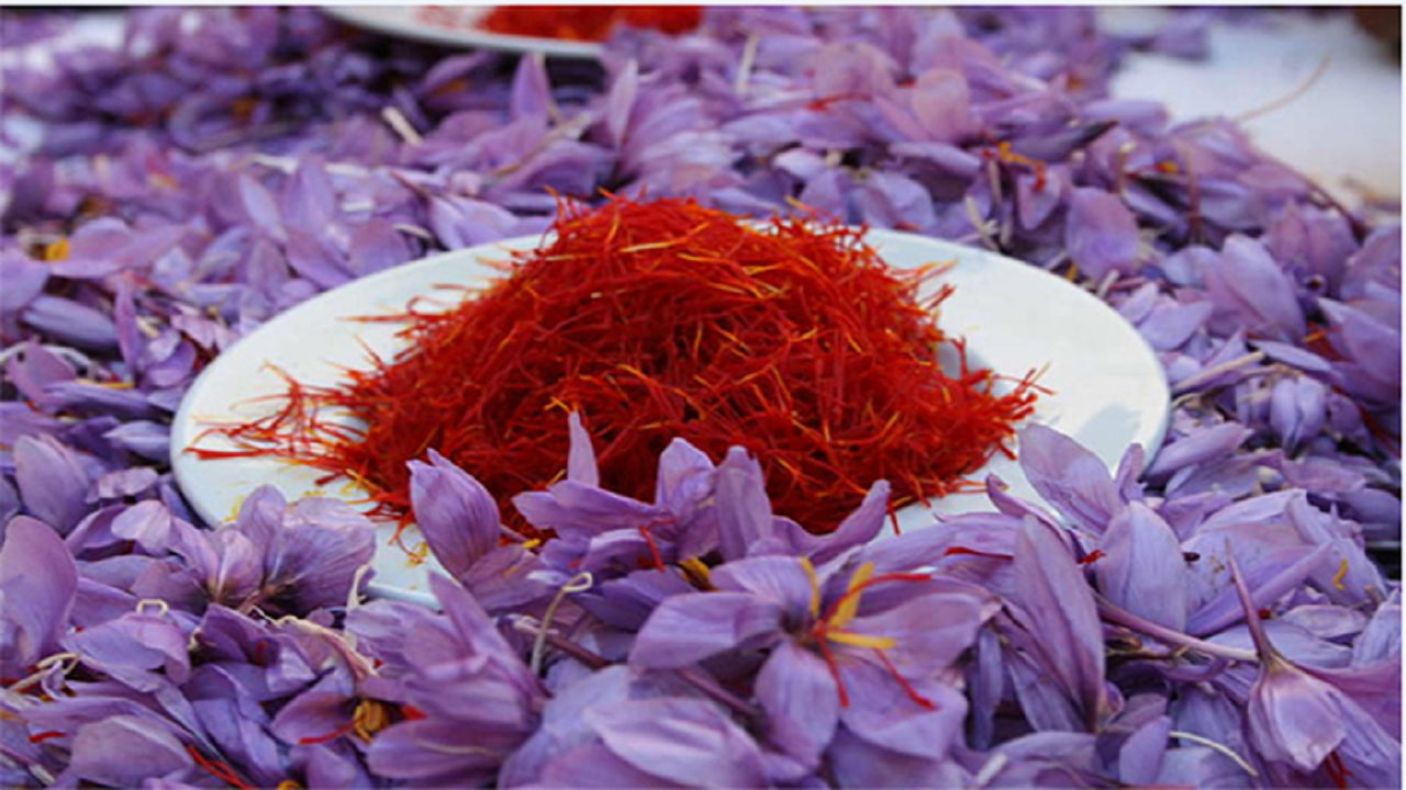 Saffron trade